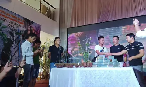 Bong bóng lan Phi điệp: Khi thú chơi tao nhã sặc mùi tiền
